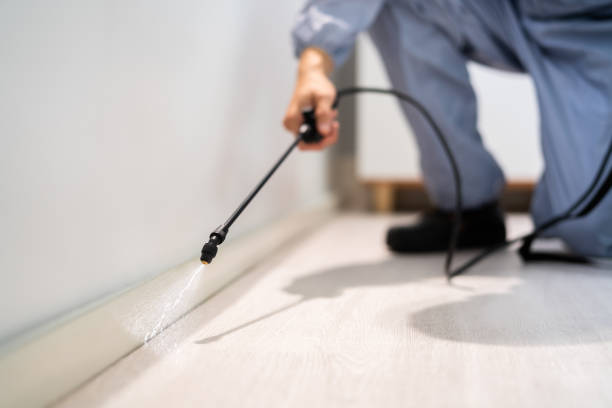 Bed Bug Pre-Treatment Preparation Assessment in Marienville