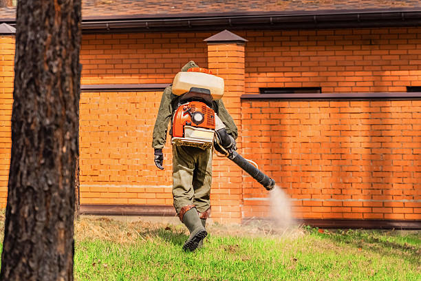 Bed Bug Clearance Verification and Documentation in Marienville